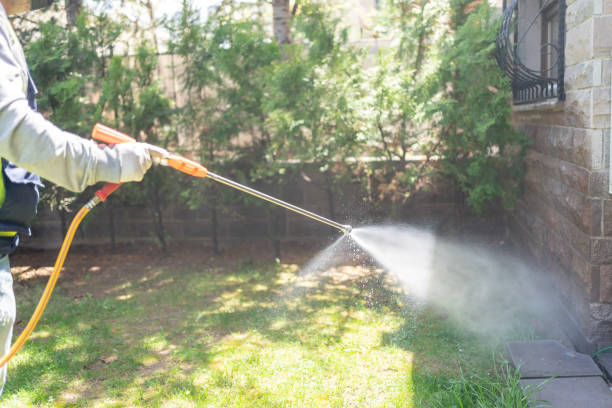 Professional Pest Control in Collins, MS