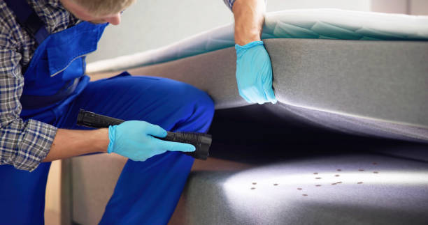 Best Flea Control Services  in Collins, MS